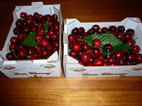Dos cajas de cerezas Don Cherry con hojas